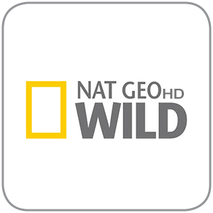 National Geographic Wild tv channel logo