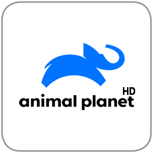 CTV Wild (Animal Planet) tv channel logo
